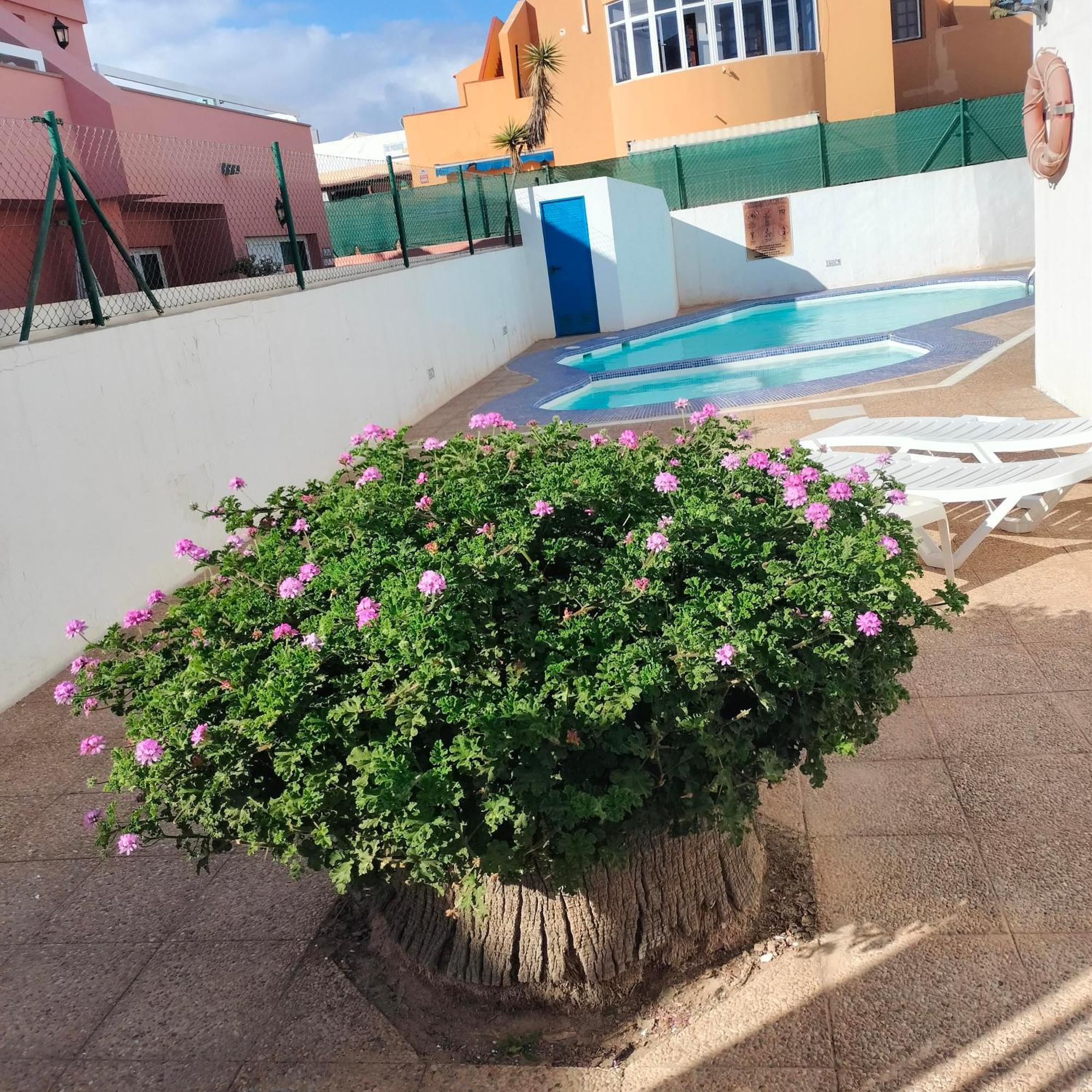 Vivienda Vacacional Alipatri Caleta De Fuste Kültér fotó